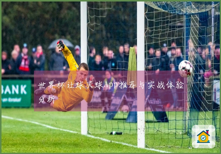 世界杯让球买球App推荐与实战体验分析