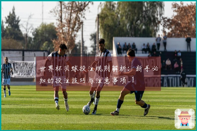 世界杯买球投注规则解析：新手必知的投注技巧与注意事项_1