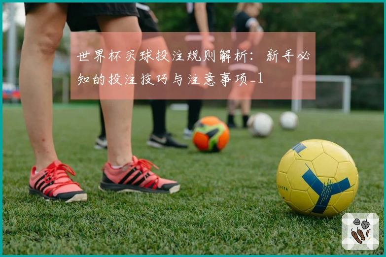 世界杯买球投注规则解析：新手必知的投注技巧与注意事项_1