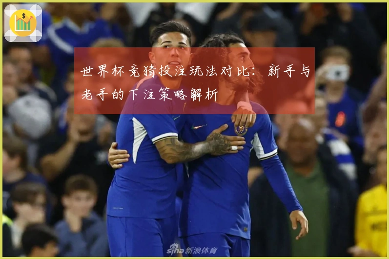 世界杯竞猜投注玩法对比：新手与老手的下注策略解析