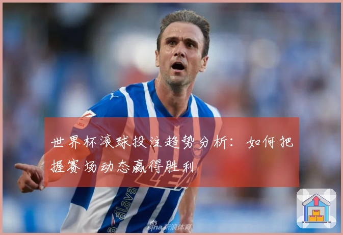 世界杯滚球投注趋势分析：如何把握赛场动态赢得胜利