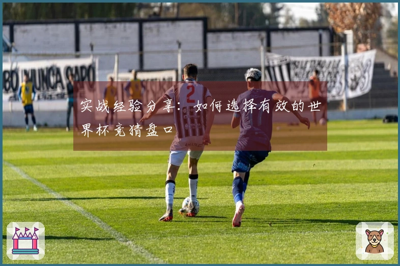 实战经验分享：如何选择有效的世界杯竞猜盘口