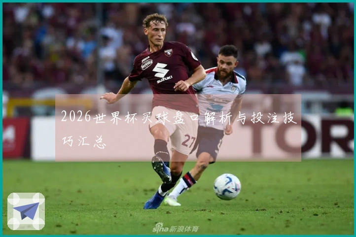 2026世界杯买球盘口解析与投注技巧汇总