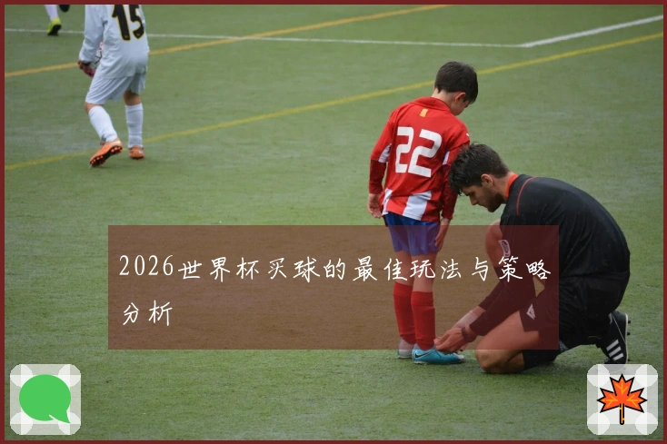 2026世界杯买球的最佳玩法与策略分析