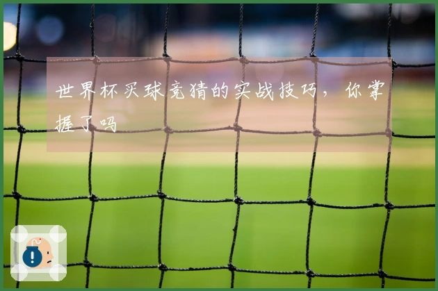 世界杯买球竞猜的实战技巧，你掌握了吗
