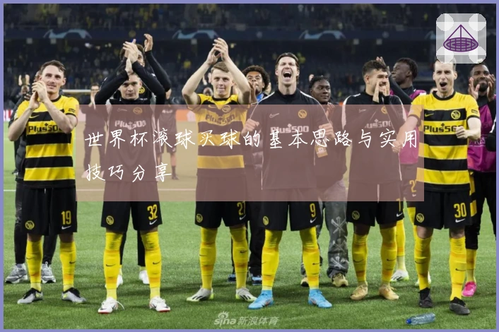 世界杯滚球买球的基本思路与实用技巧分享