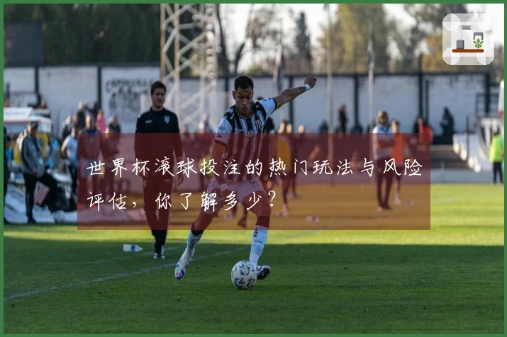 世界杯滚球投注的热门玩法与风险评估，你了解多少？